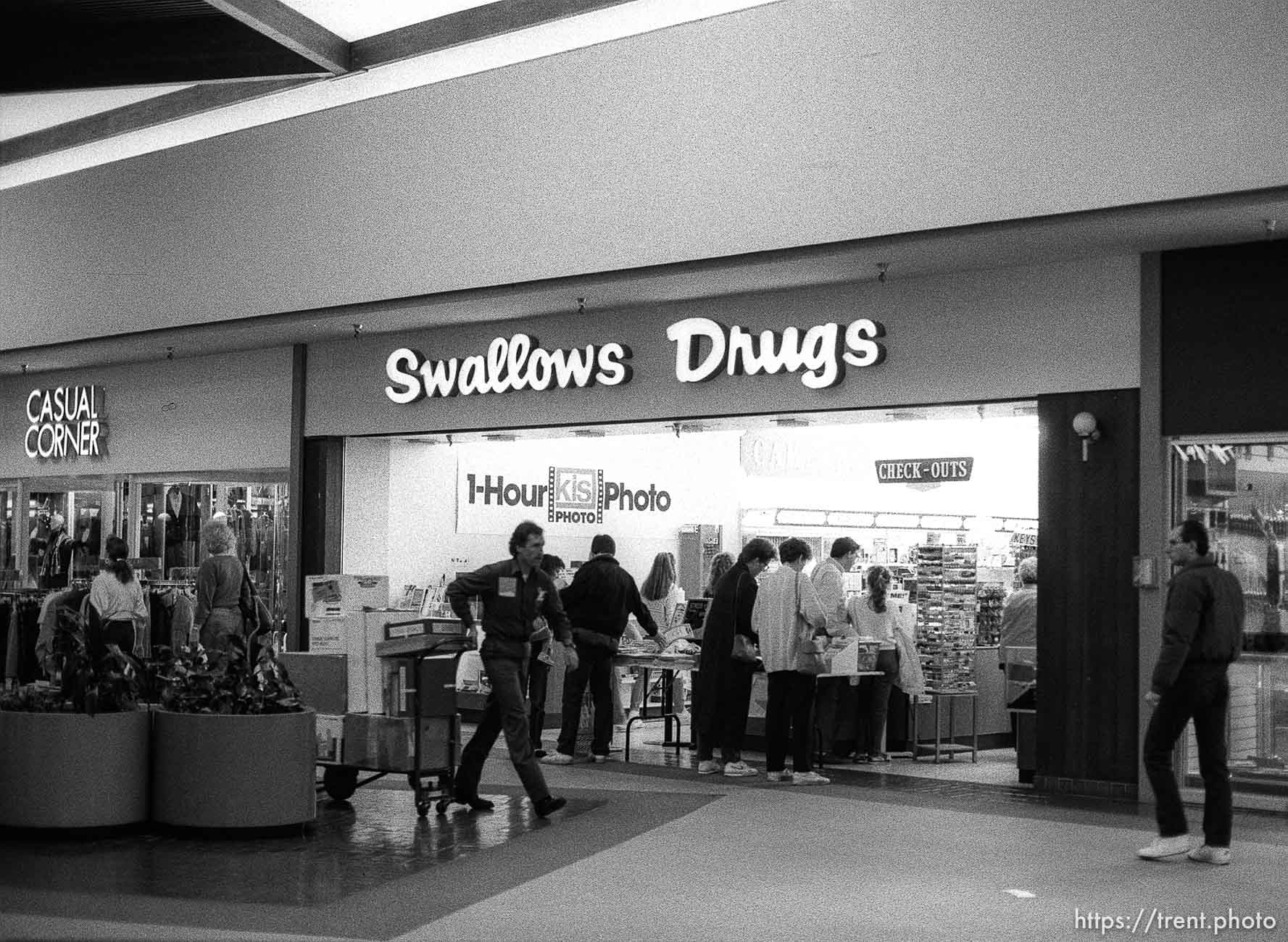Swallows Drugs