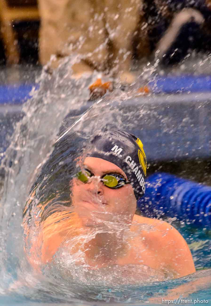 Skyline's Mckay Chamberlain celebrates his win in the Men 100 Yard Freestyle at the 4A state swimming championships in Provo, Saturday February 14, 2015.