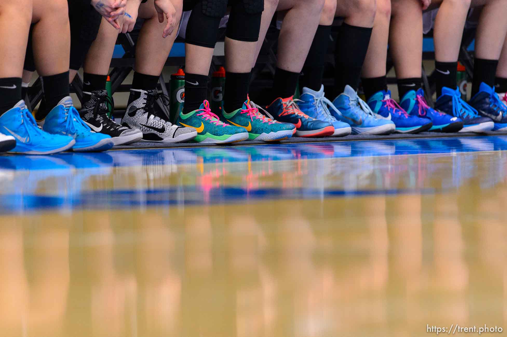 Trent Nelson  |  The Salt Lake Tribune
Blue shoes line the Sky View bench as Sky View faces Springville in the 4A state high school girls basketball tournament at Salt Lake Community College in Taylorsville, Tuesday February 17, 2015. Mountain View wins 54-49.