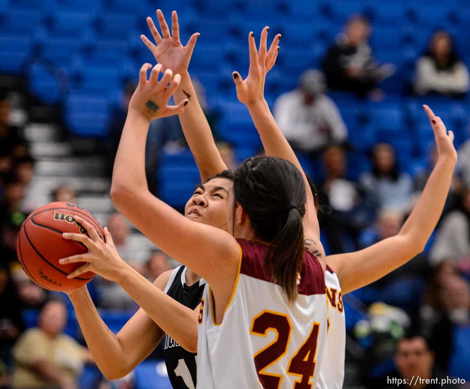 Trent Nelson  |  The Salt Lake Tribune
Highland's Lea Havili (14) looks for a shot, defended by Mountain View's Paulani Tarawa (24), as Mountain View faces Highland in the 4A state basketball tournament at Salt Lake Community College in Taylorsville, Tuesday February 17, 2015. Mountain View wins 54-49.