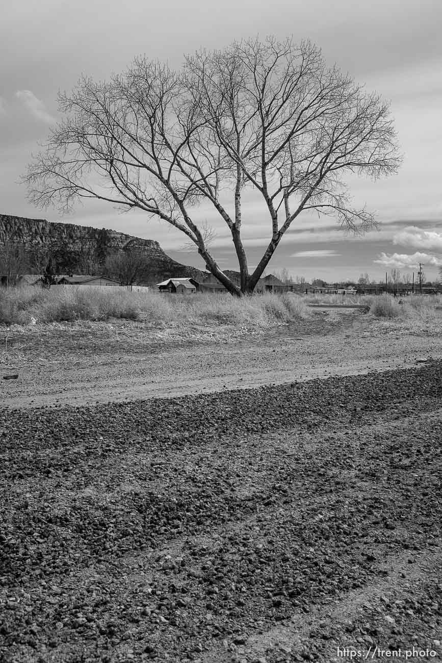 homes, Hildale/Colorado City, Friday March 16, 2018.