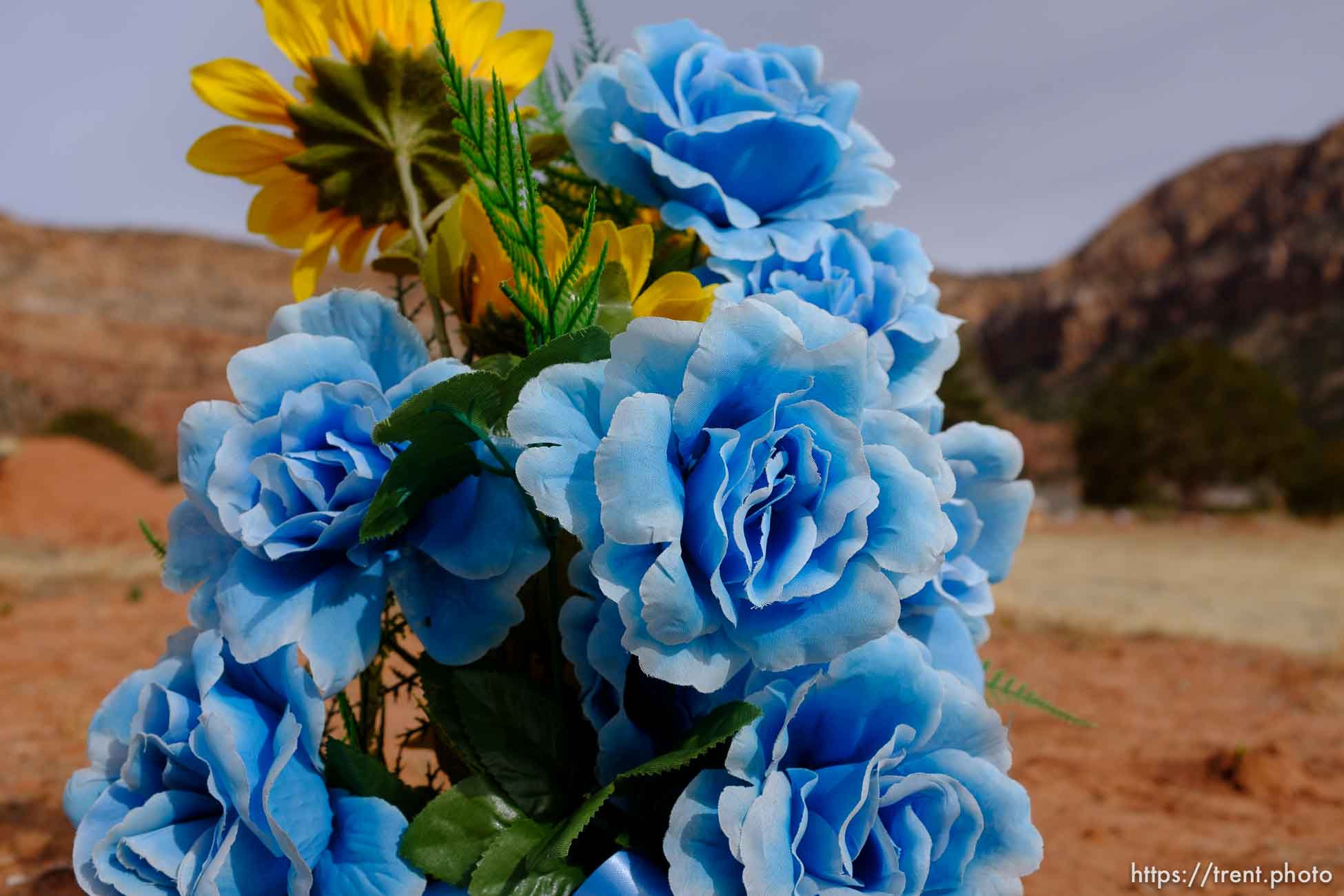 Ryan Daniel Barlow, 1983-1995. Isaac W. Carling Memorial Park, Colorado City, Friday March 16, 2018.