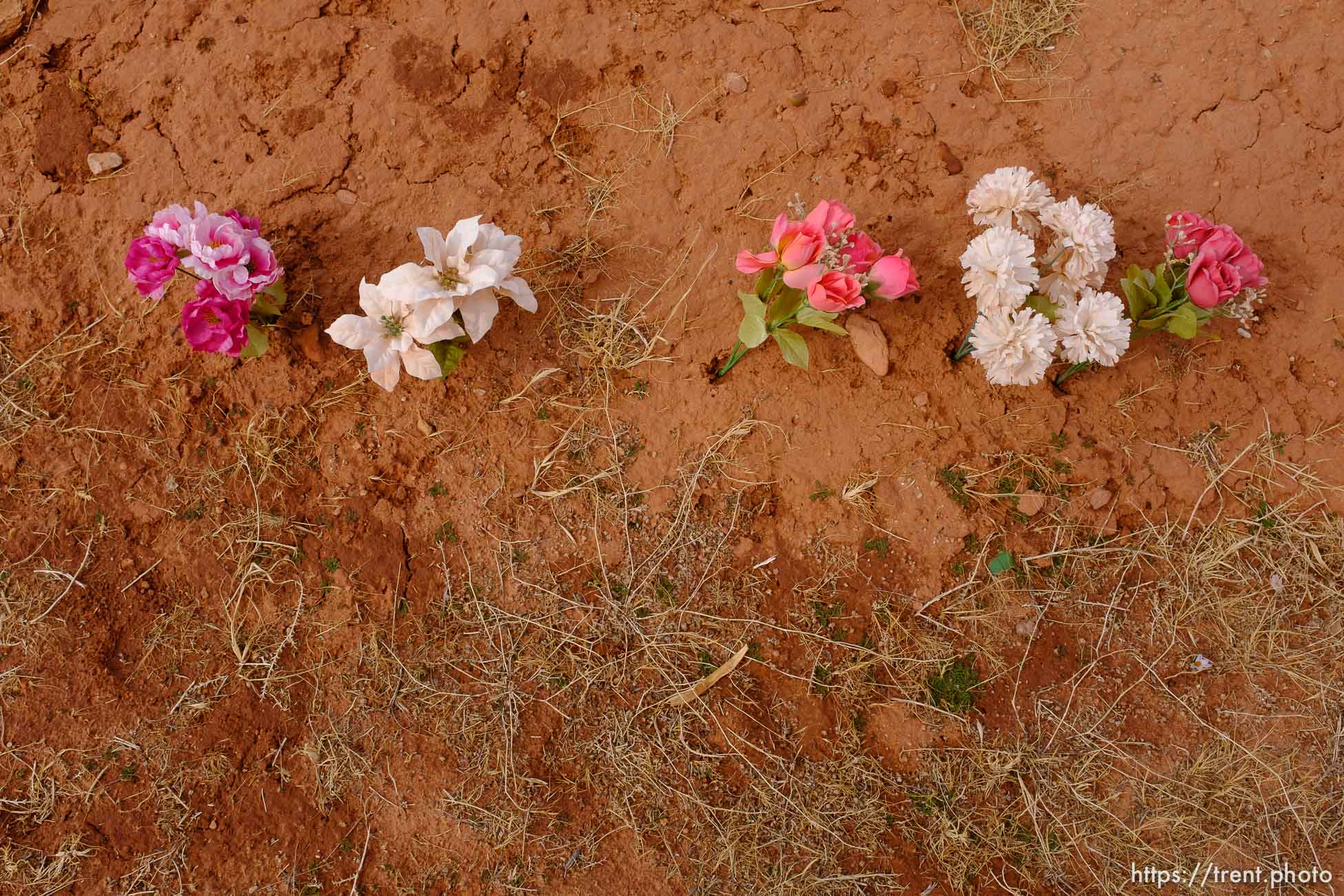 Lorna Black Isaac W. Carling Memorial Park, Colorado City, Friday March 16, 2018.