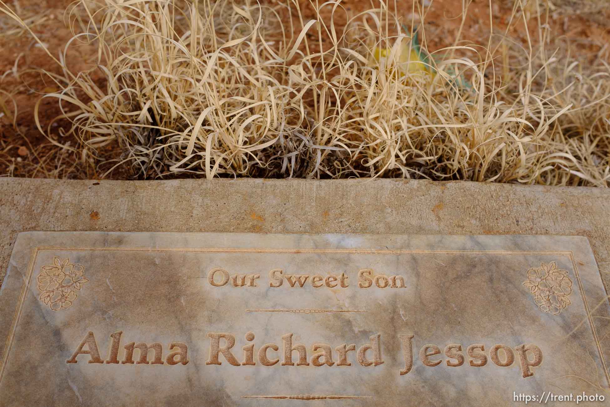 Alma Richard Jessop, 1989-1994. Our Sweet Son. Isaac W. Carling Memorial Park, Colorado City, Friday March 16, 2018.