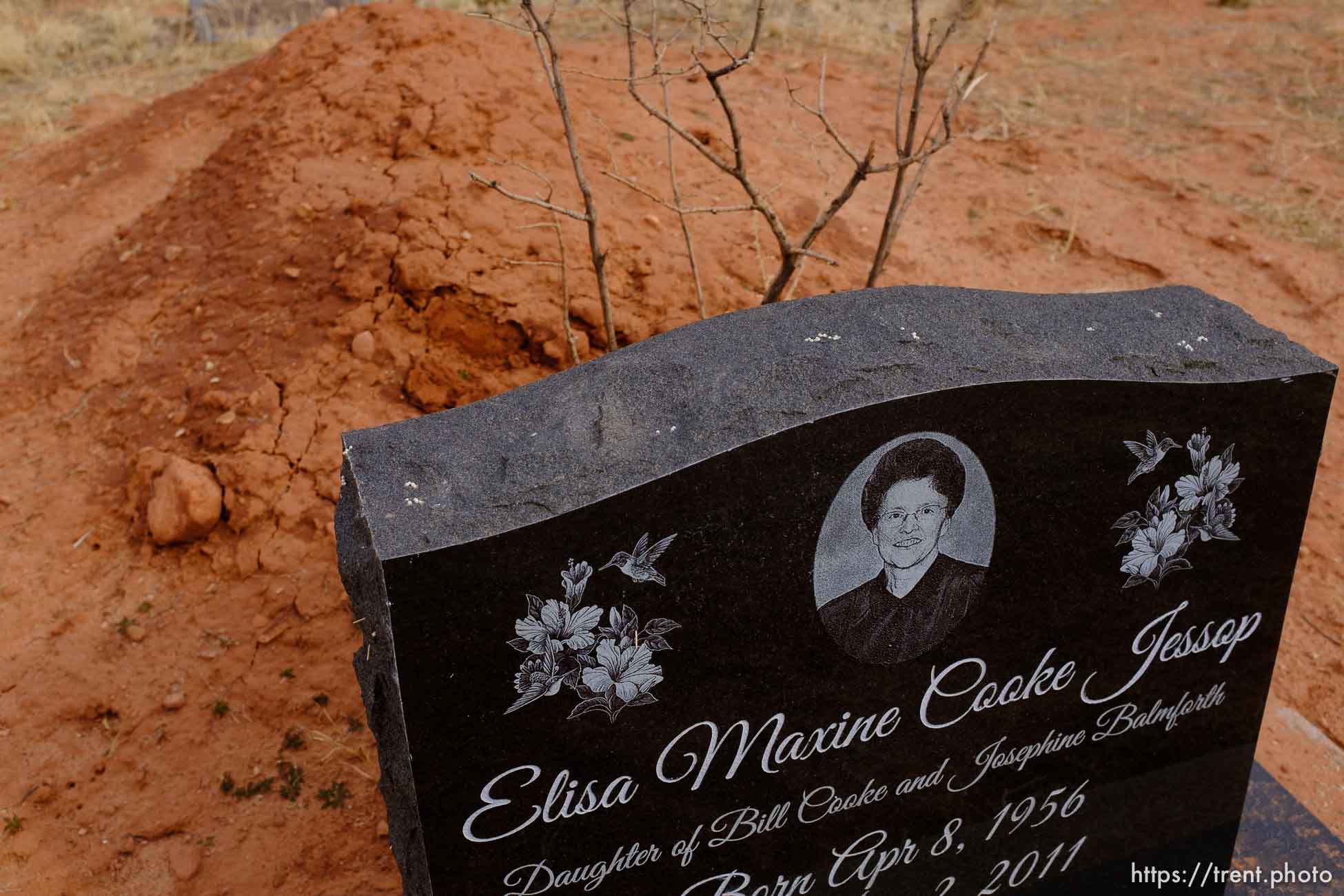 Elisa Maxine Cooke Jessop, 1956-2011. Isaac W. Carling Memorial Park, Colorado City, Friday March 16, 2018.