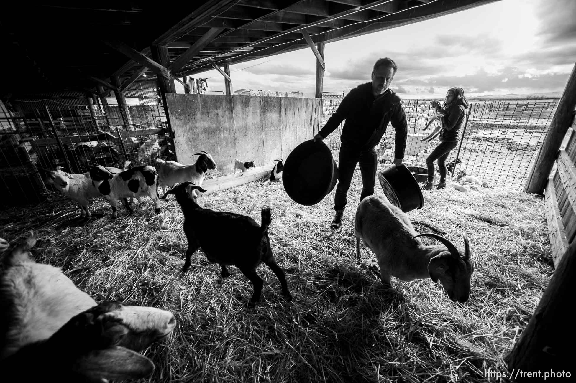 The East Africa Refugee Goat Project
