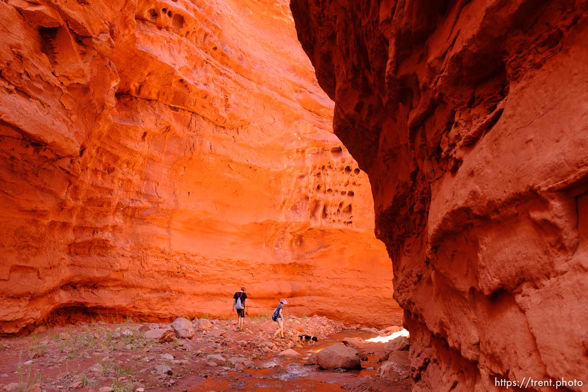 professor creek and mary jane canyon, Friday April 27, 2018.