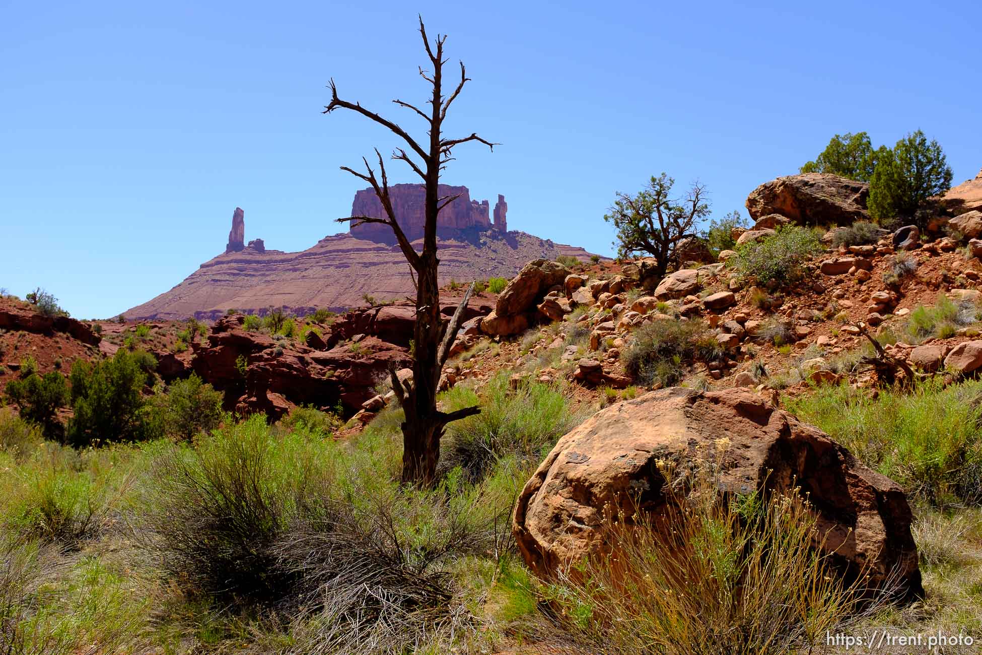 professor creek and mary jane canyon, Friday April 27, 2018.