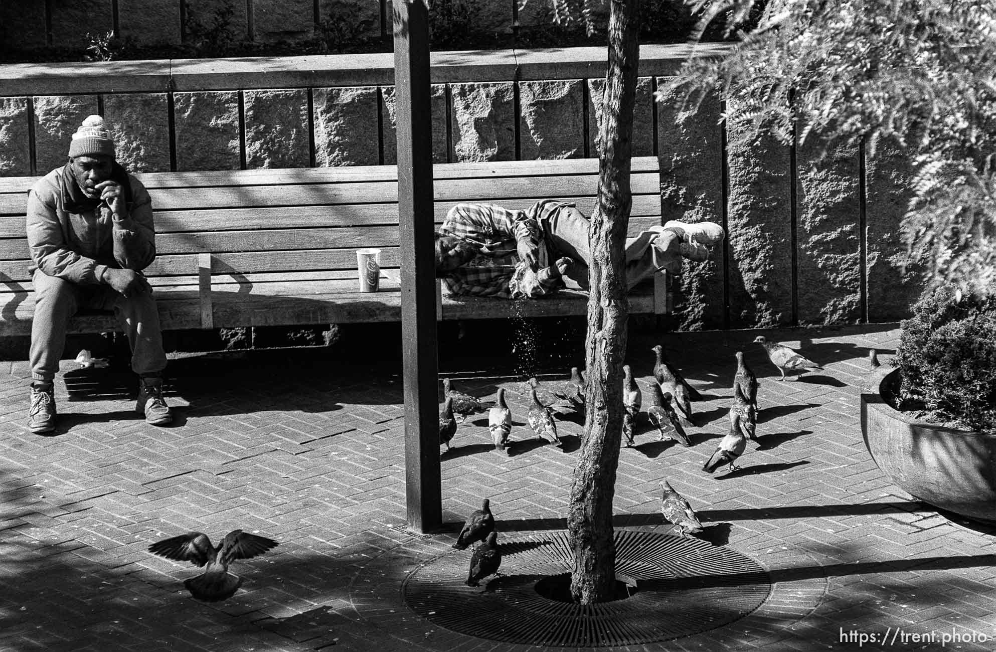 Man on bench and man feeding pigeons.