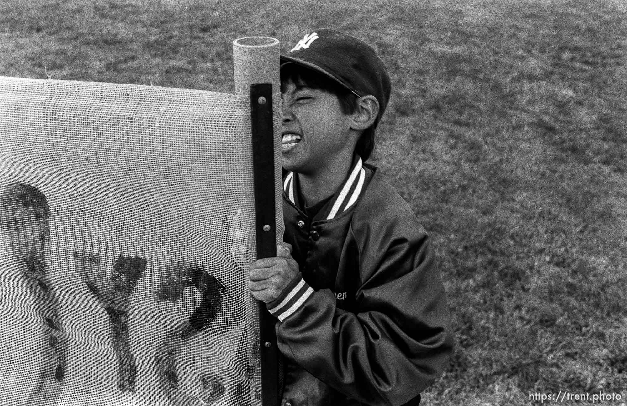 Kid pulling up fence at Yankees game