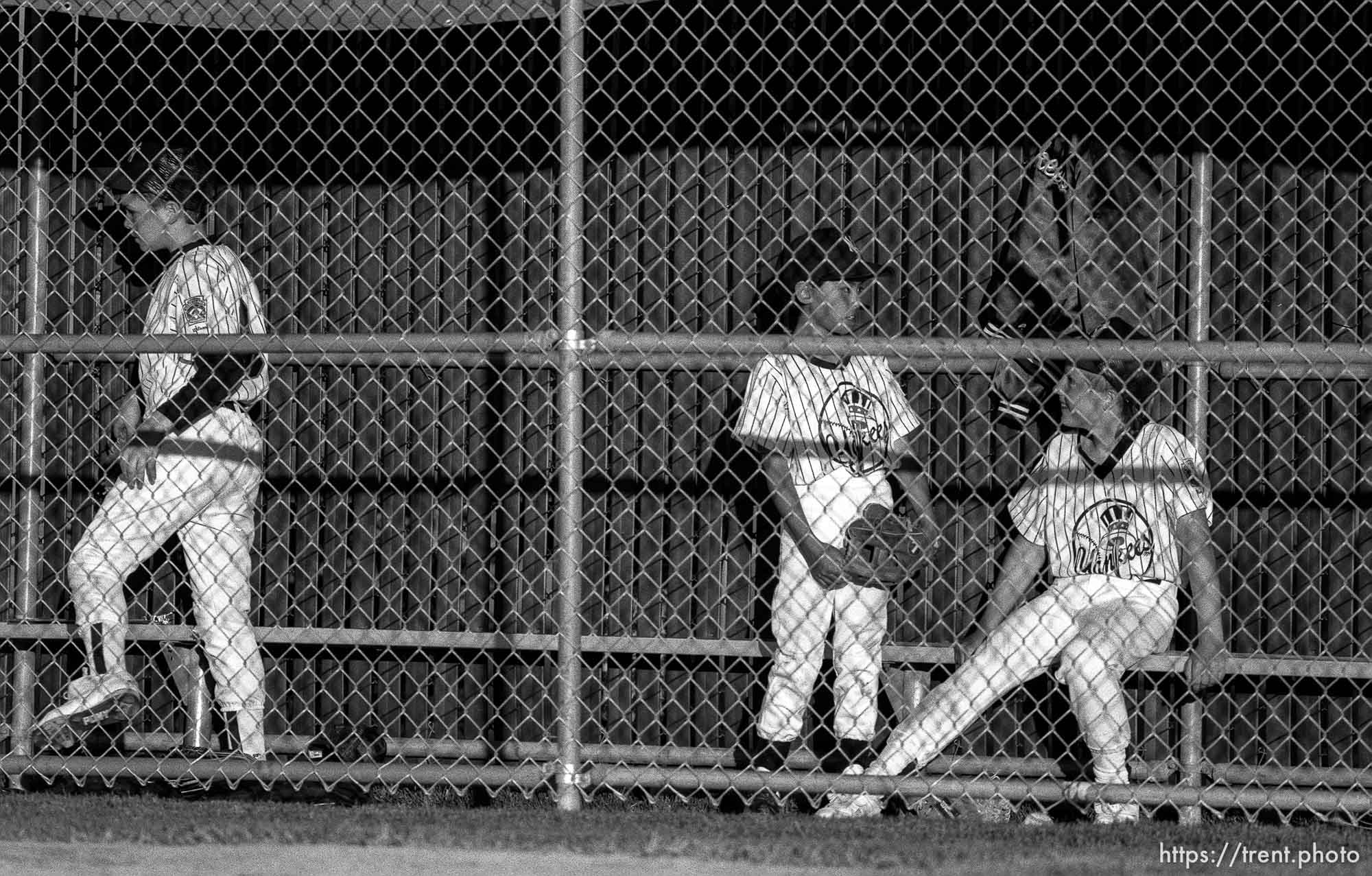 Players in dugout at Yankees game