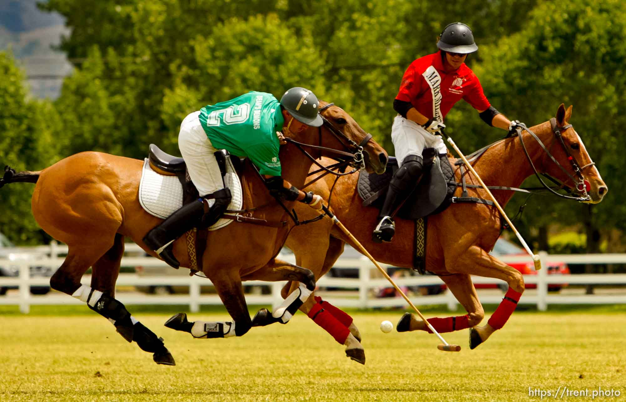 Pharmacy Cup Champagne Brunch & Polo Match