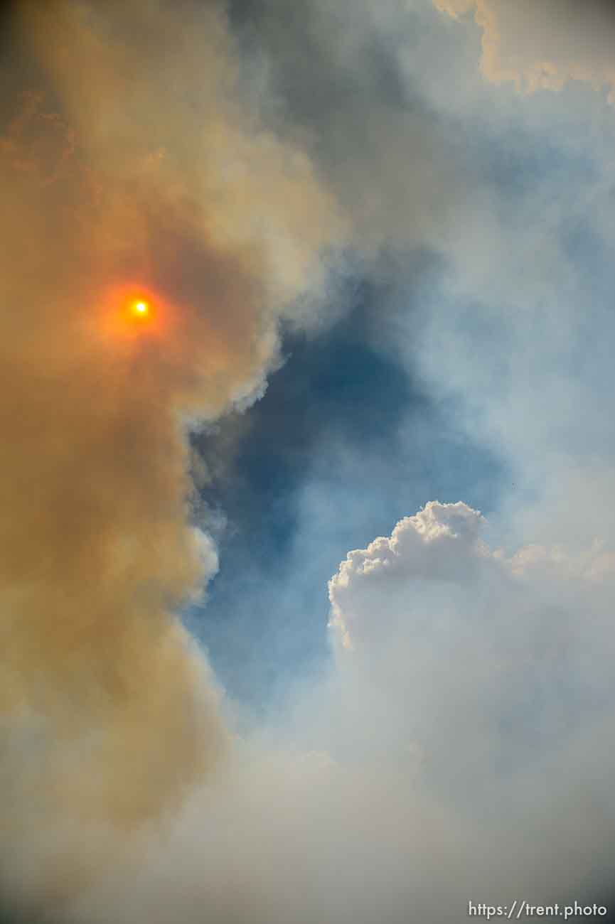 (Trent Nelson | The Salt Lake Tribune)
The Dollar Ridge Fire in Duchesne County, Tuesday July 3, 2018.