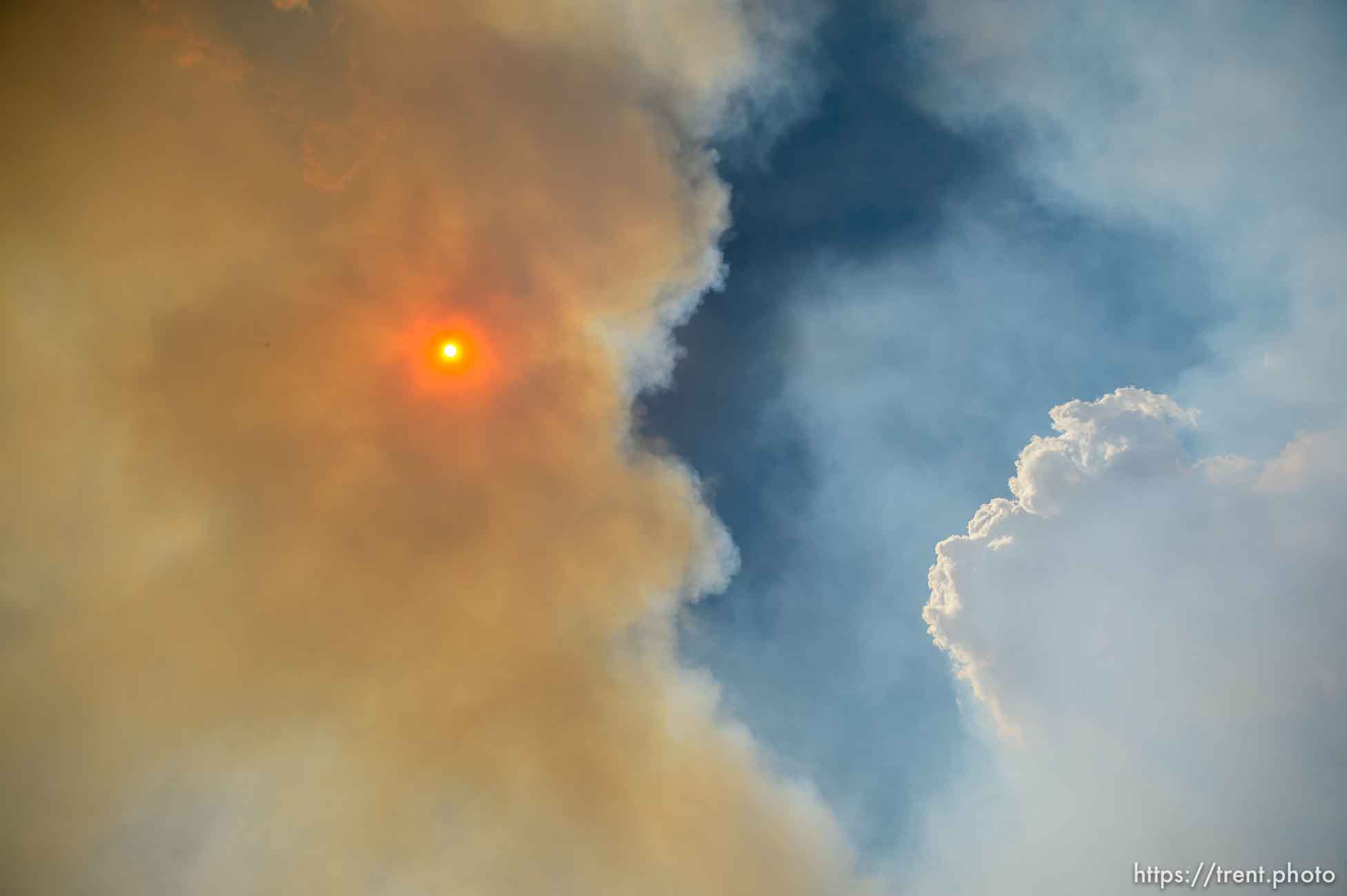 (Trent Nelson | The Salt Lake Tribune)
The Dollar Ridge Fire in Duchesne County, Tuesday July 3, 2018.