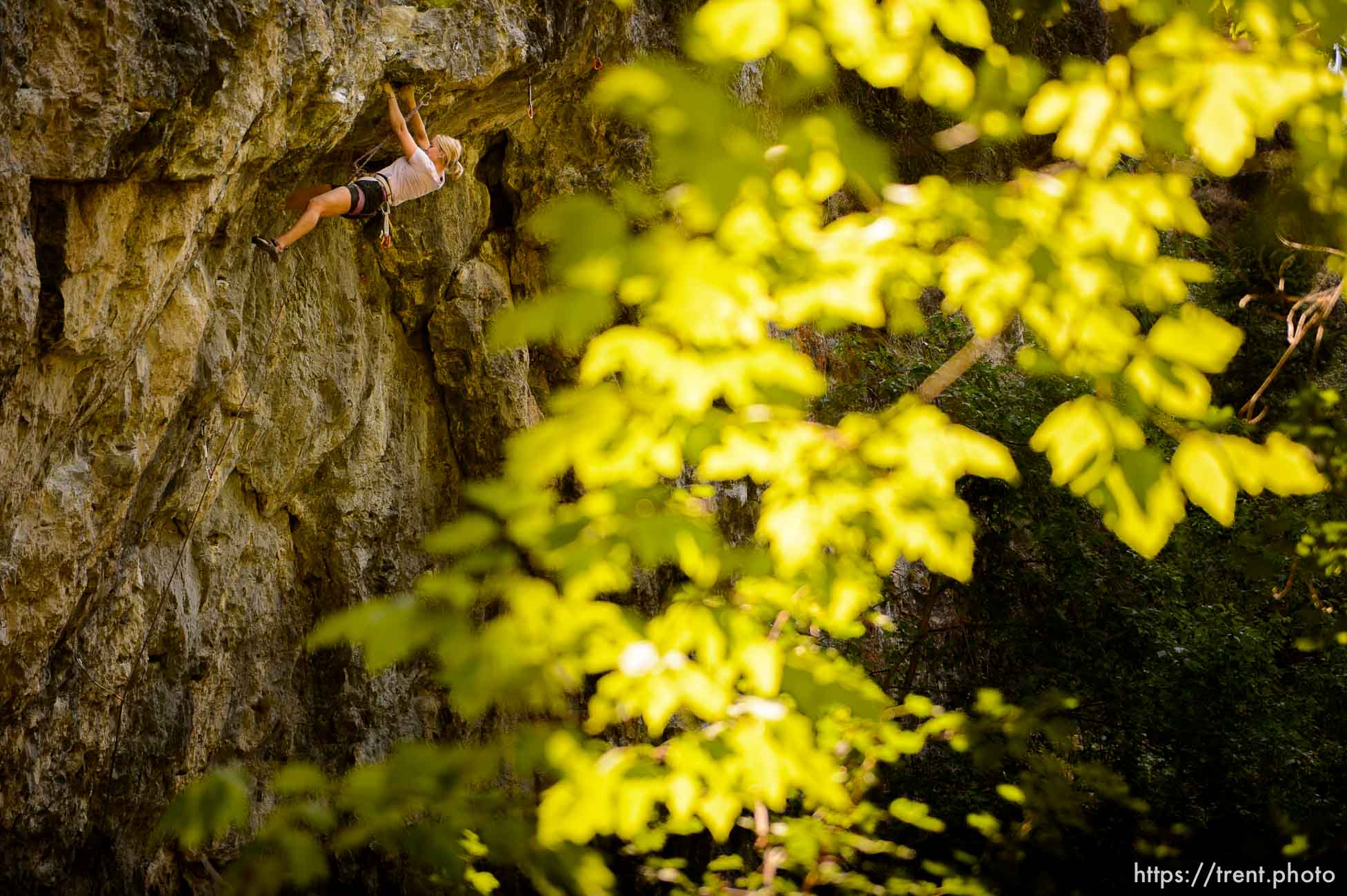 (Trent Nelson | The Salt Lake Tribune)  
Victoria Brunner rock climbing in American Fork Canyon, Tuesday July 17, 2018.