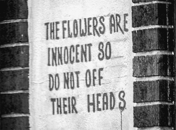 The Flowers Are Innocent