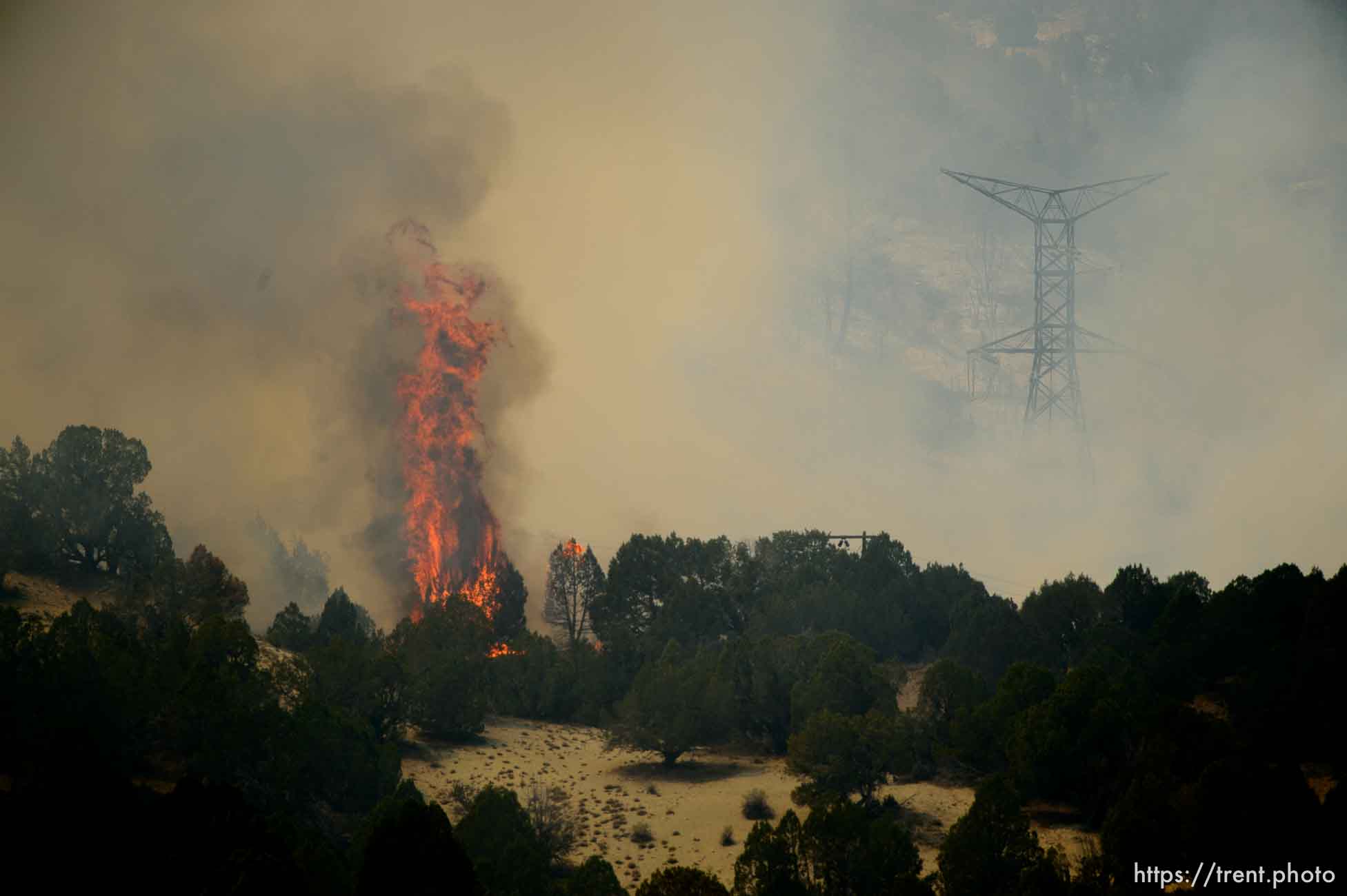 (Trent Nelson | The Salt Lake Tribune) 
The Coal Hollow Fire burns along Highway 6 in Utah County, Thursday Aug. 9, 2018.