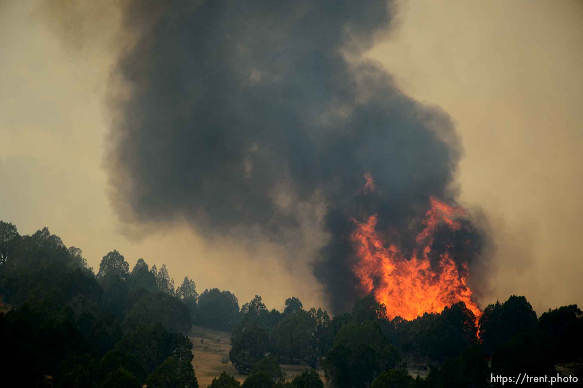 (Trent Nelson | The Salt Lake Tribune) 
The Coal Hollow Fire burns along Highway 6 in Utah County, Thursday Aug. 9, 2018.