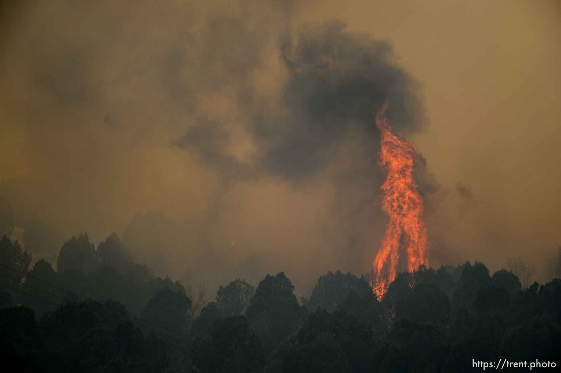 (Trent Nelson | The Salt Lake Tribune) 
The Coal Hollow Fire burns along Highway 6 in Utah County, Thursday Aug. 9, 2018.