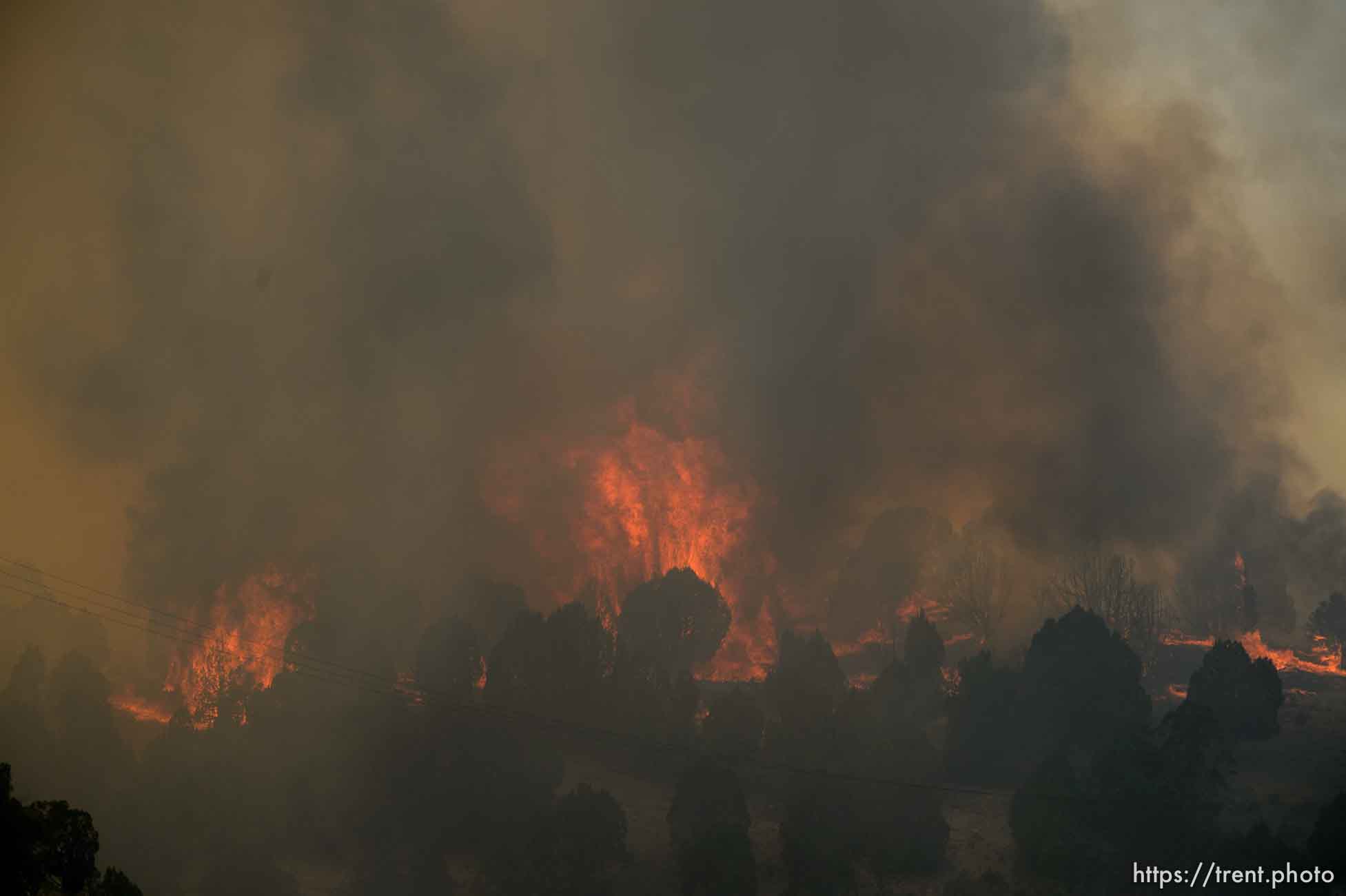 (Trent Nelson | The Salt Lake Tribune) 
The Coal Hollow Fire burns along Highway 6 in Utah County, Thursday Aug. 9, 2018.