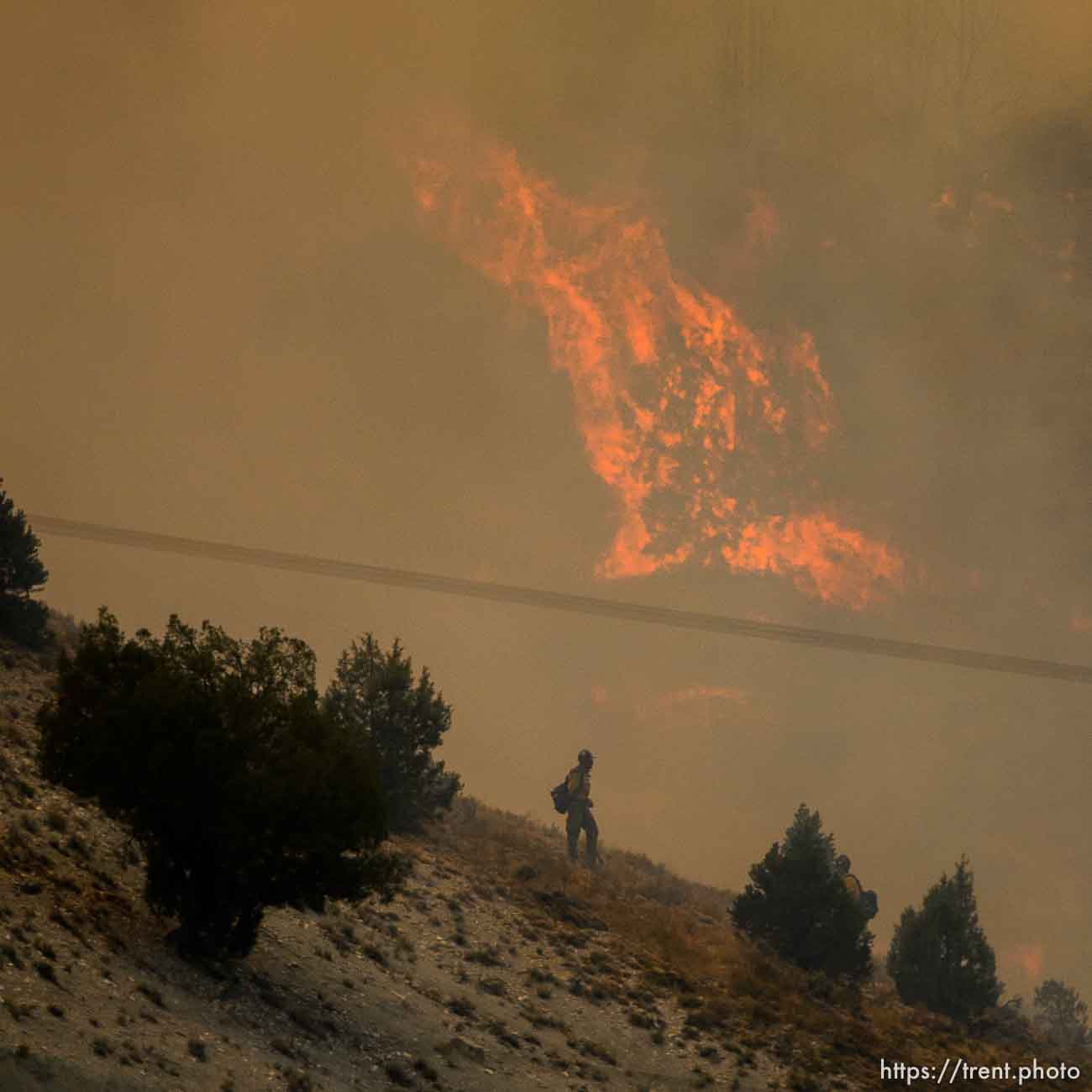 (Trent Nelson | The Salt Lake Tribune) 
The Coal Hollow Fire burns along Highway 6 in Utah County, Thursday Aug. 9, 2018.