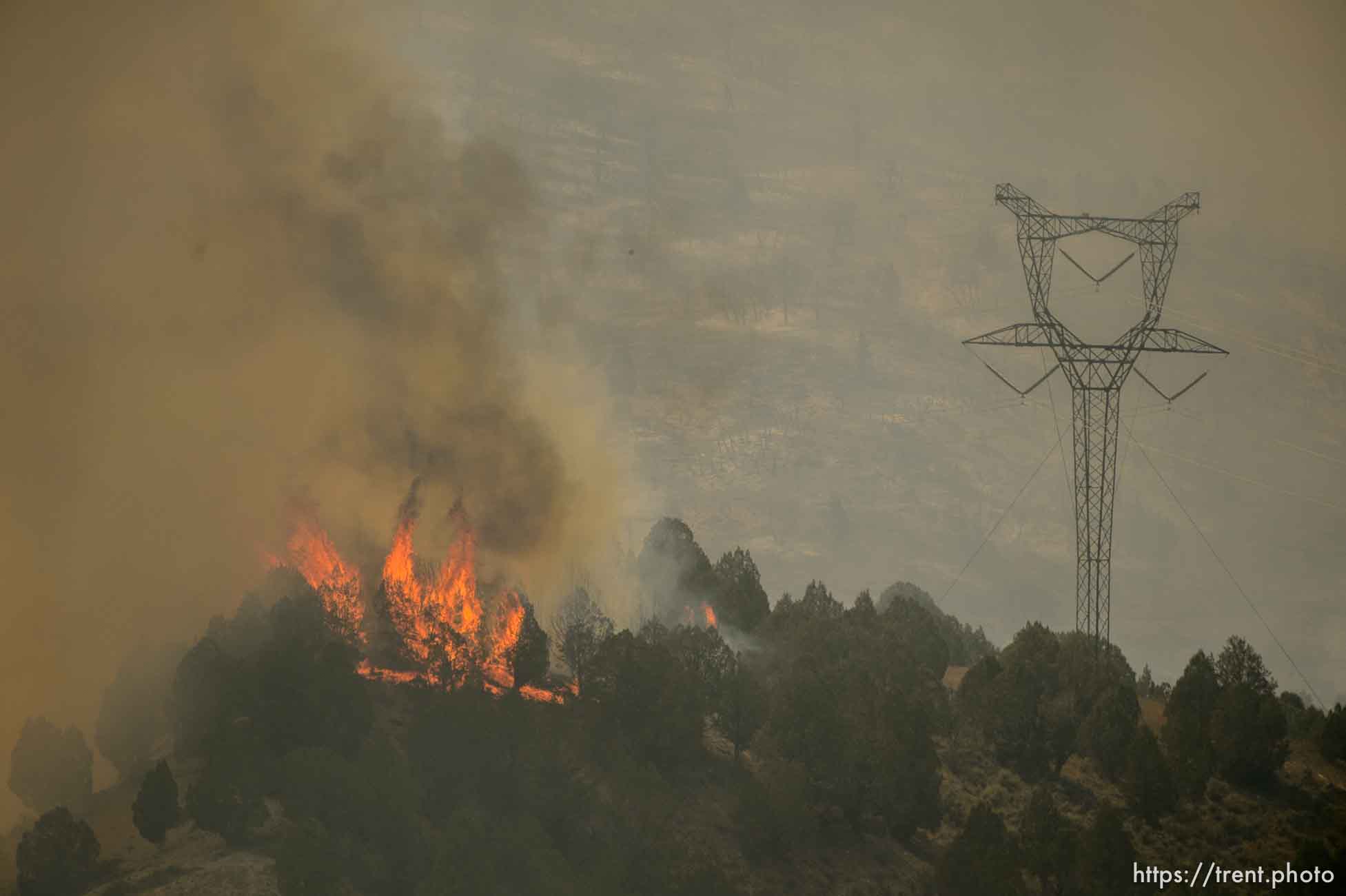 (Trent Nelson | The Salt Lake Tribune) 
The Coal Hollow Fire burns along Highway 6 in Utah County, Thursday Aug. 9, 2018.