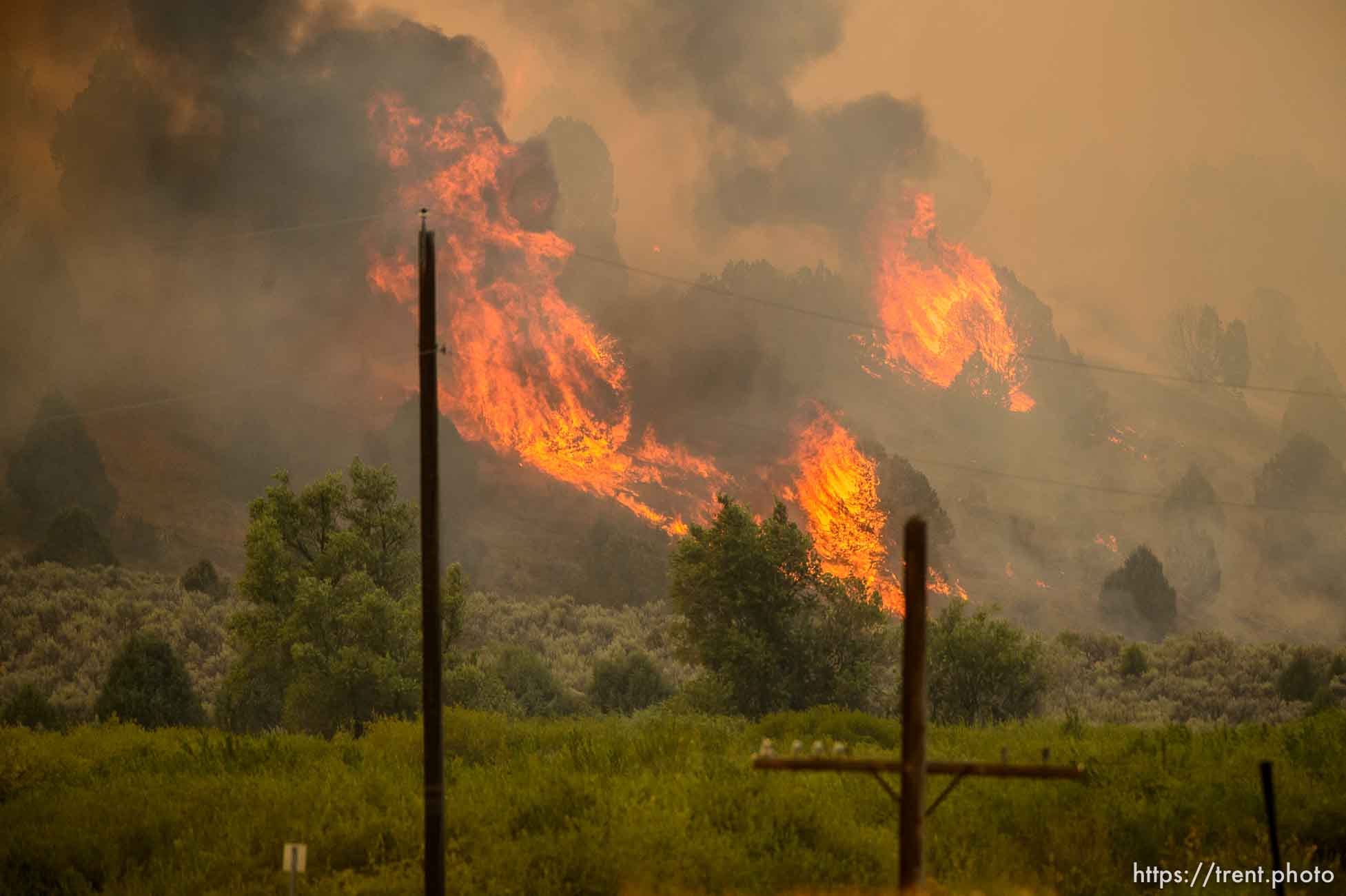 (Trent Nelson | The Salt Lake Tribune) 
The Coal Hollow Fire burns along Highway 6 in Utah County, Thursday Aug. 9, 2018.