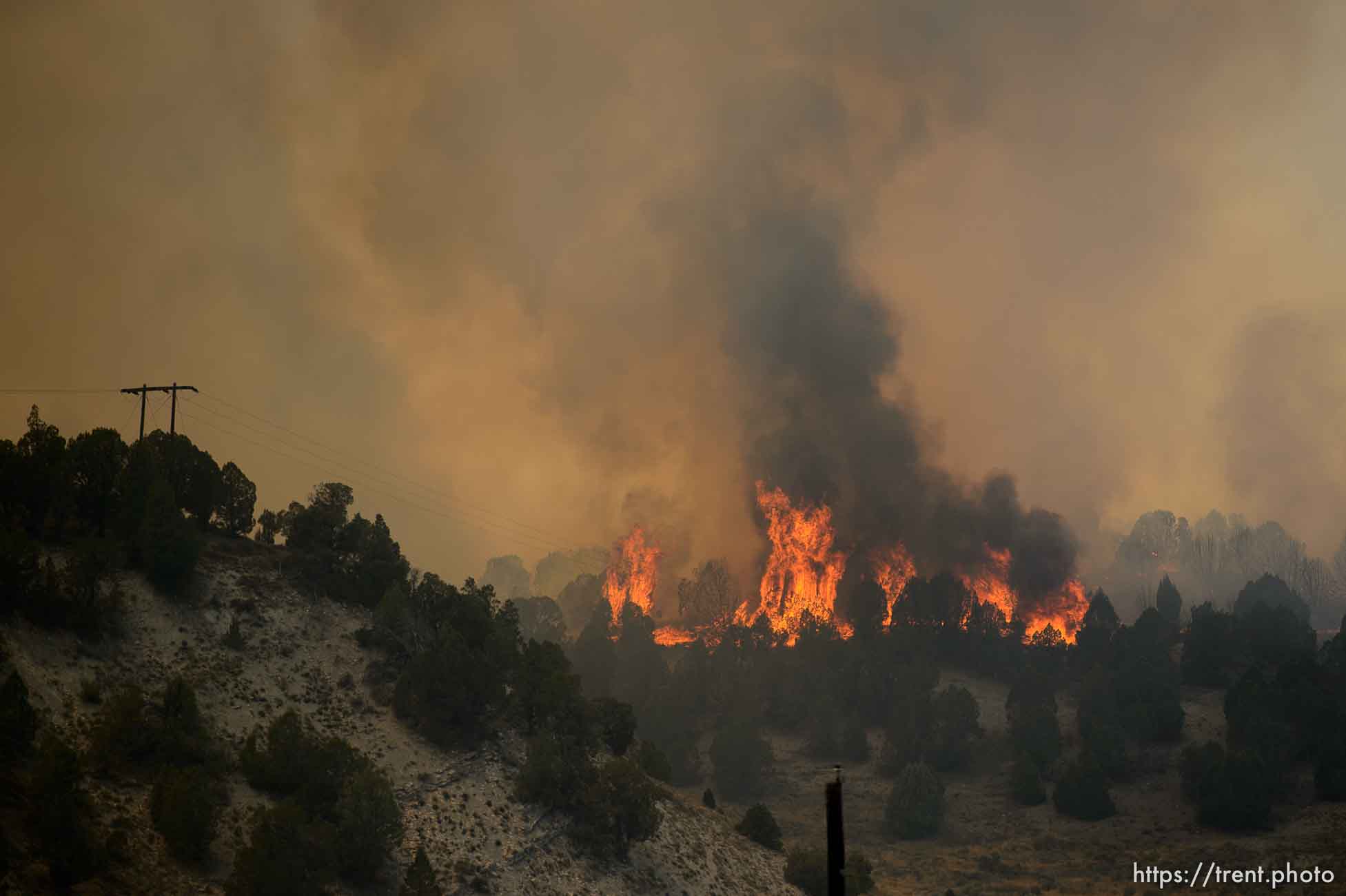 (Trent Nelson | The Salt Lake Tribune) 
The Coal Hollow Fire burns along Highway 6 in Utah County, Thursday Aug. 9, 2018.