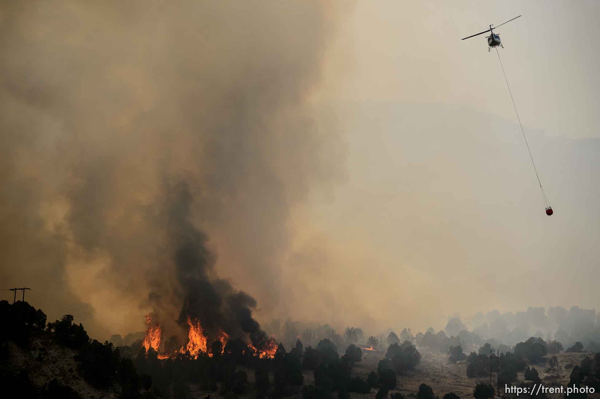 (Trent Nelson | The Salt Lake Tribune) 
The Coal Hollow Fire burns along Highway 6 in Utah County, Thursday Aug. 9, 2018.