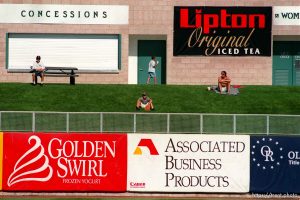 Fans and signs at Buzz baseball game