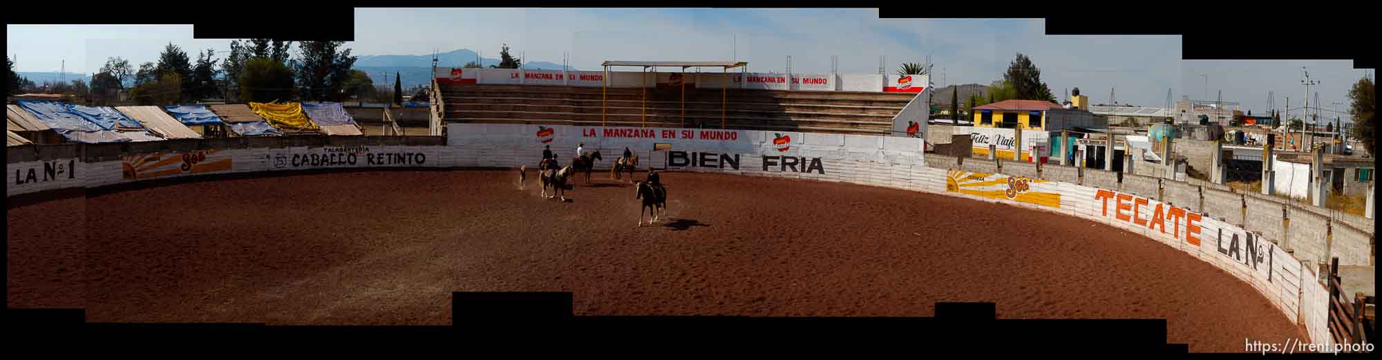 horse caballo