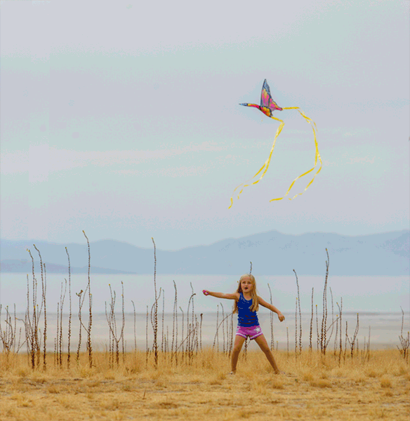 Antelope Island Stampede Kites