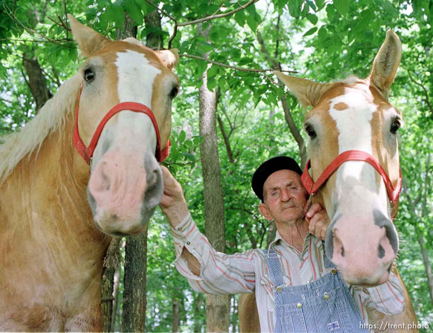 Archie Durham, 73-year-old wagon driver with his two Belgian horses, Bob (left) and Bill.  photo by trent nelson