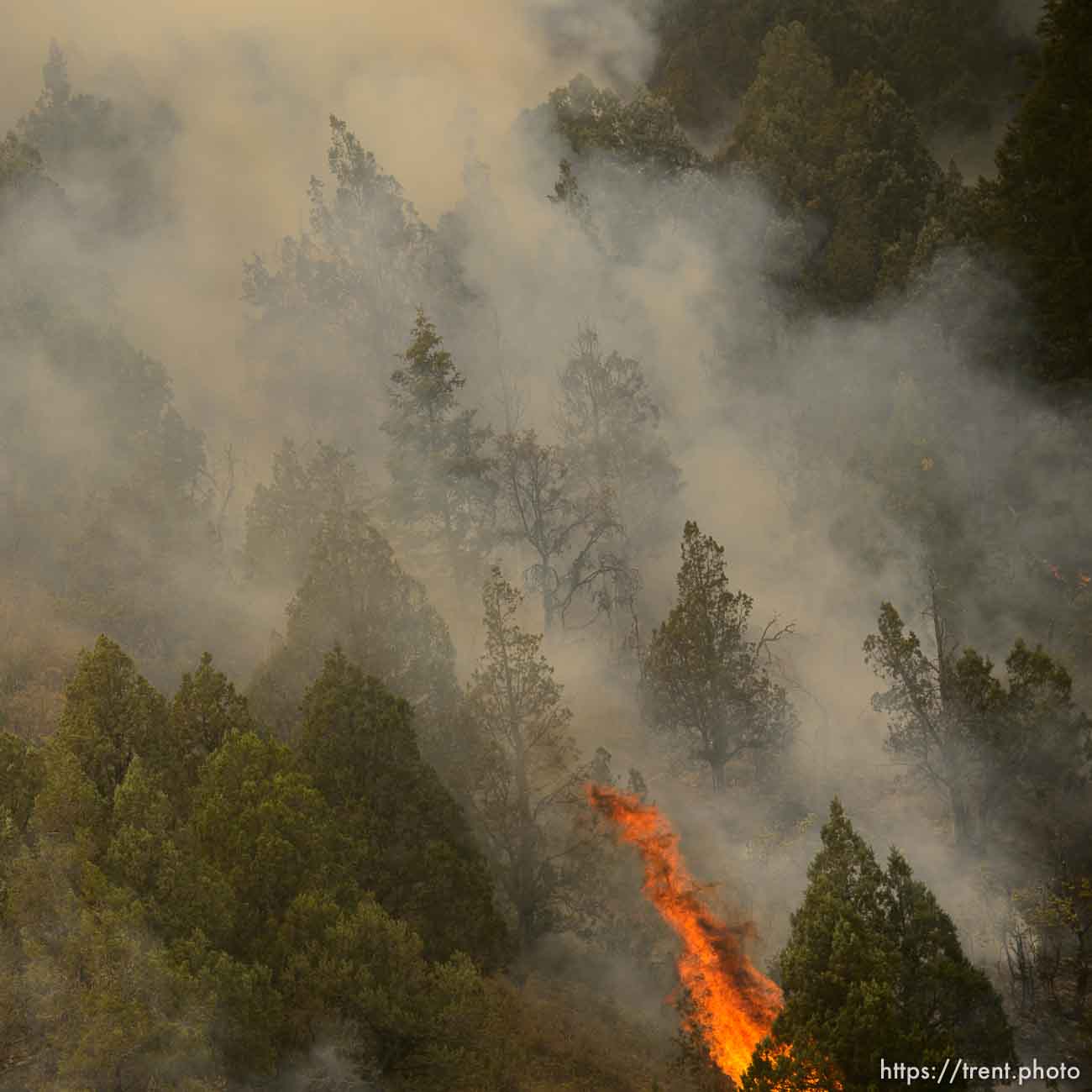 (Trent Nelson | The Salt Lake Tribune) 
The Coal Hollow Fire burns along Highway 6 in Utah County, Friday Aug. 10, 2018.