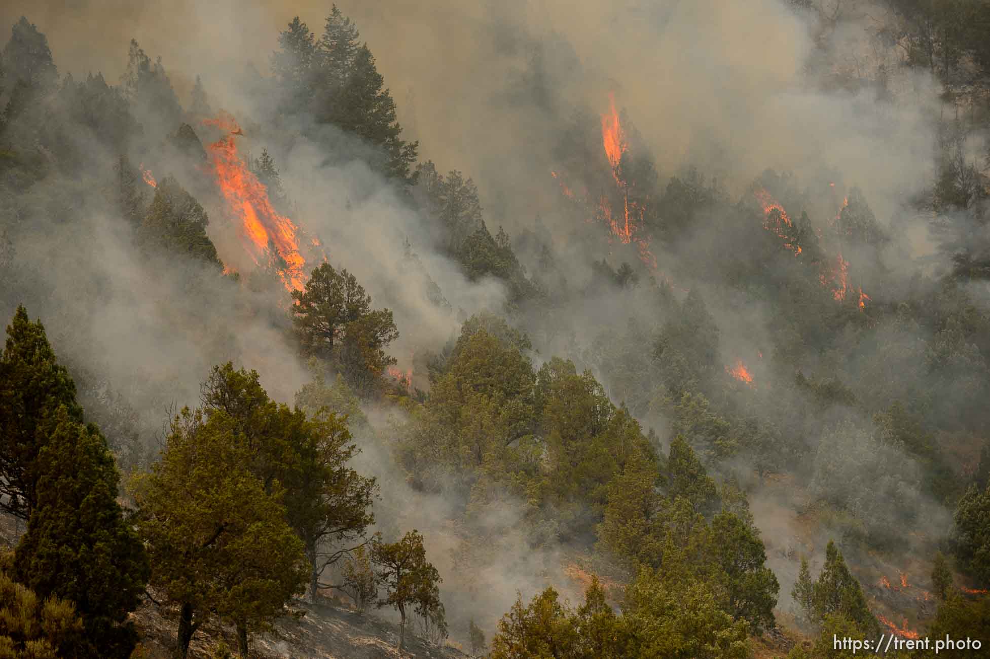 (Trent Nelson | The Salt Lake Tribune) 
The Coal Hollow Fire burns along Highway 6 in Utah County, Friday Aug. 10, 2018.