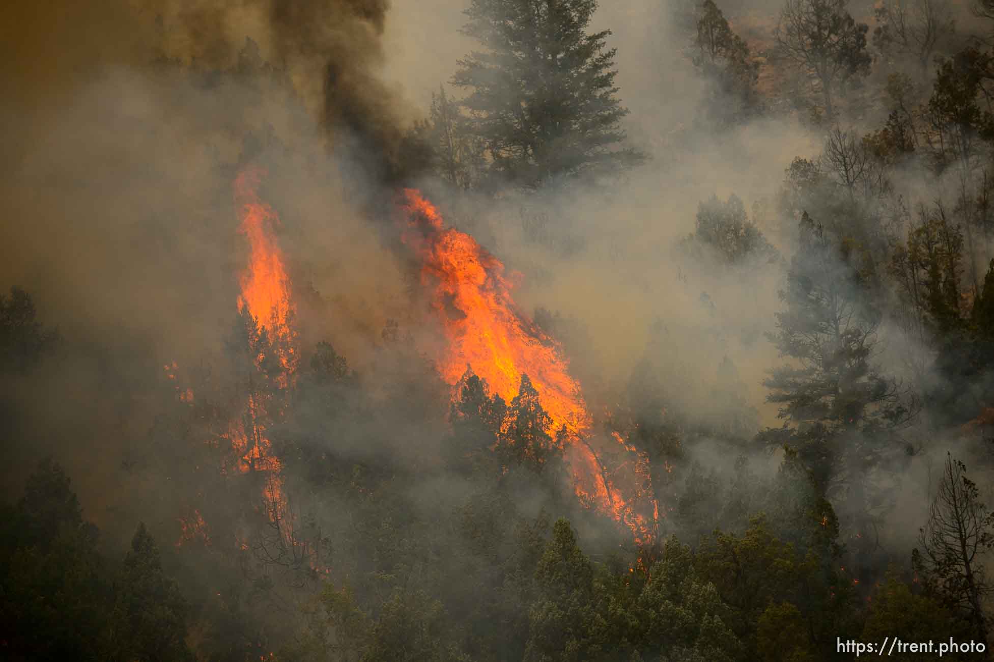 (Trent Nelson | The Salt Lake Tribune) 
The Coal Hollow Fire burns along Highway 6 in Utah County, Friday Aug. 10, 2018.