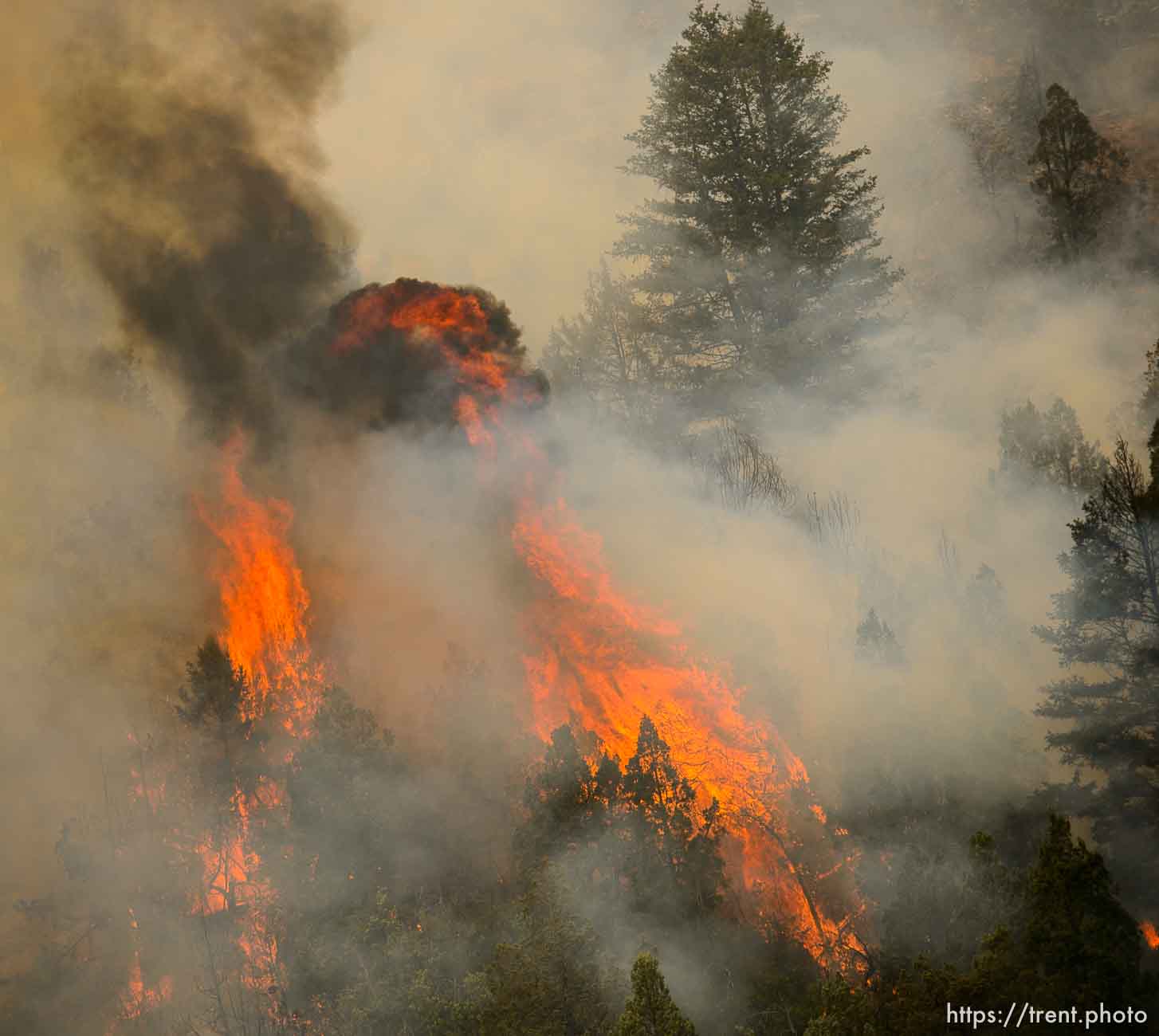 (Trent Nelson | The Salt Lake Tribune) 
The Coal Hollow Fire burns along Highway 6 in Utah County, Friday Aug. 10, 2018.