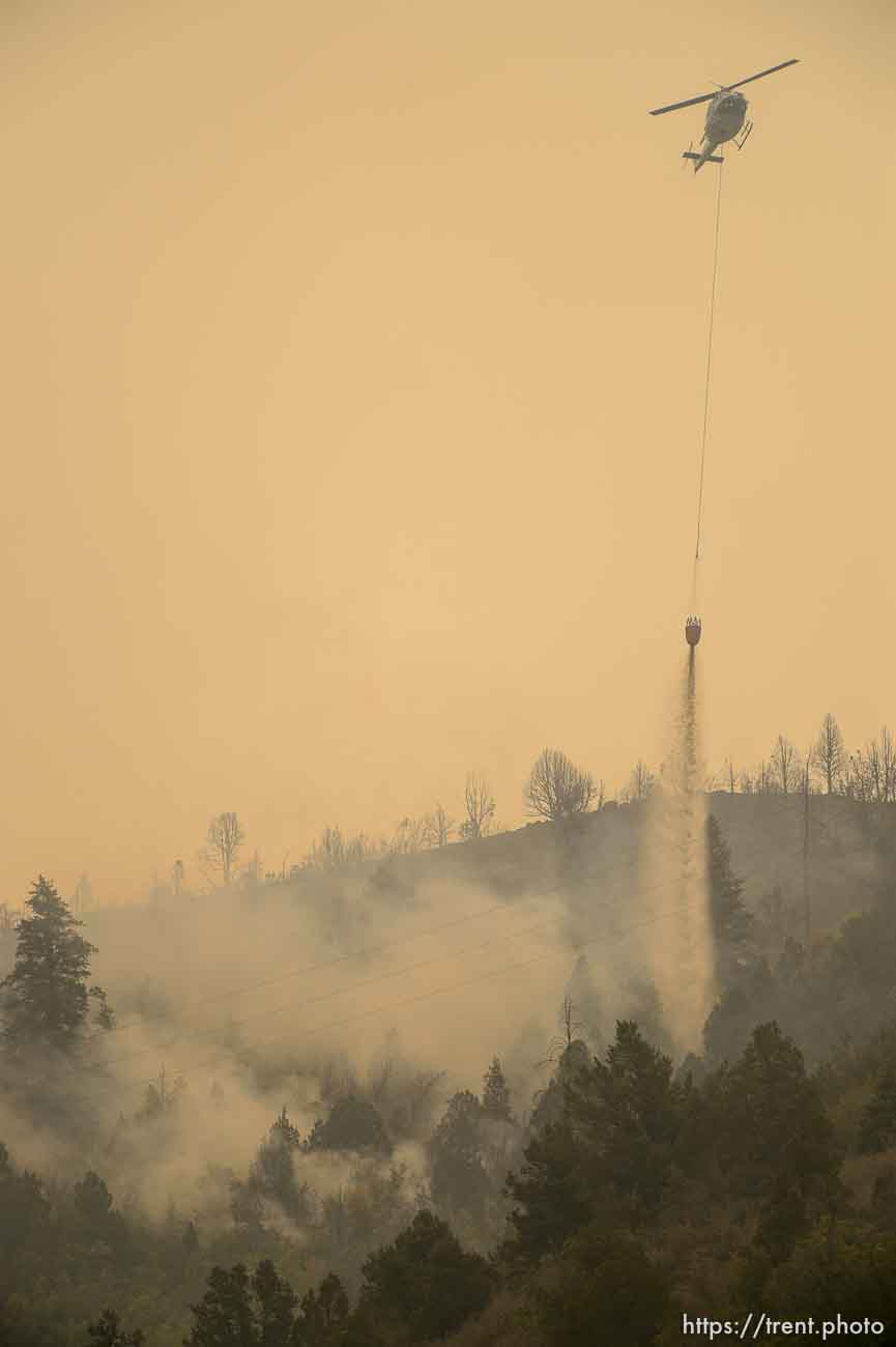 (Trent Nelson | The Salt Lake Tribune) 
The Coal Hollow Fire burns along Highway 6 in Utah County, Friday Aug. 10, 2018.