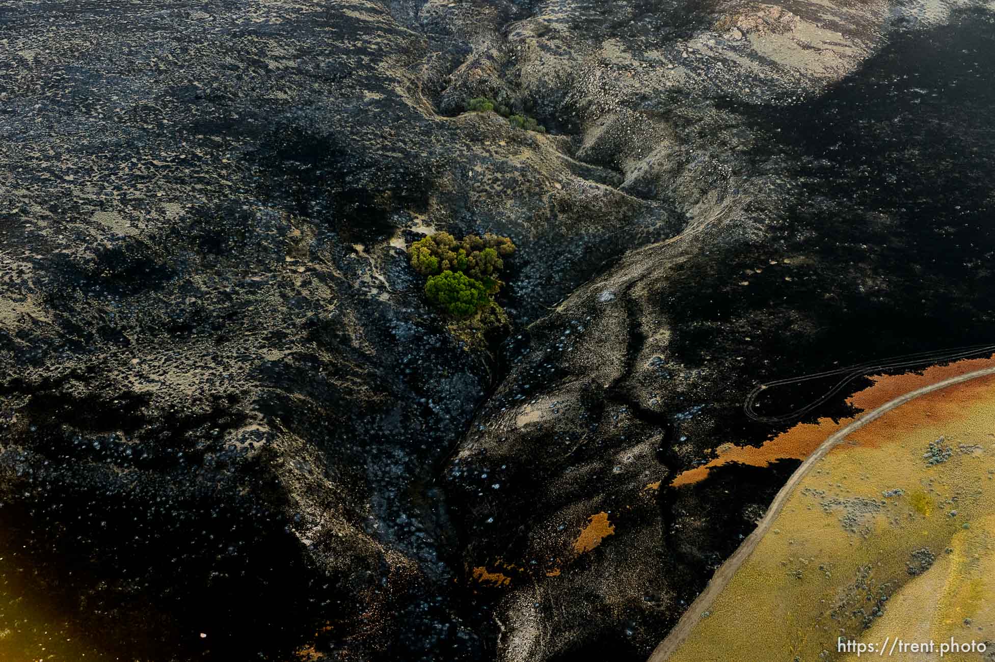 Trent Nelson  |  The Salt Lake Tribune
An aerial view of Antelope Island, showing the scope of the damage caused by a fire that burned up much of the island.
Wednesday July 27, 2016, Axiom Aviation.