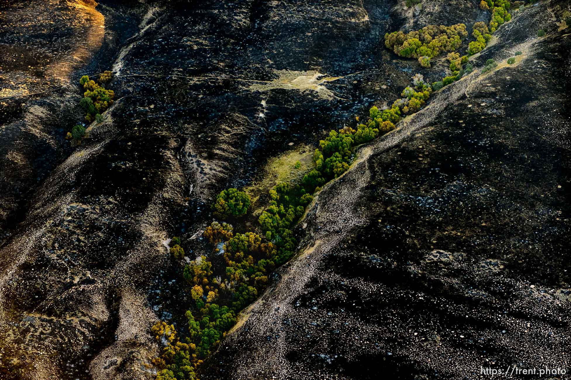 Trent Nelson  |  The Salt Lake Tribune
An aerial view of Antelope Island, showing the scope of the damage caused by a fire that burned up much of the island.
Wednesday July 27, 2016, Axiom Aviation.