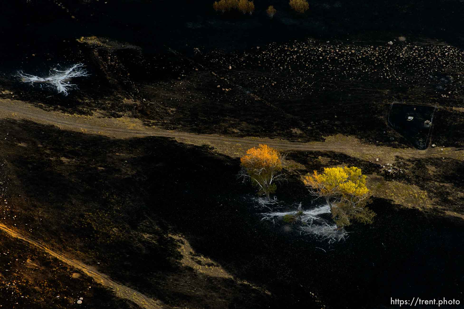 Trent Nelson  |  The Salt Lake Tribune
An aerial view of Antelope Island, showing the scope of the damage caused by a fire that burned up much of the island.
Wednesday July 27, 2016, Axiom Aviation.