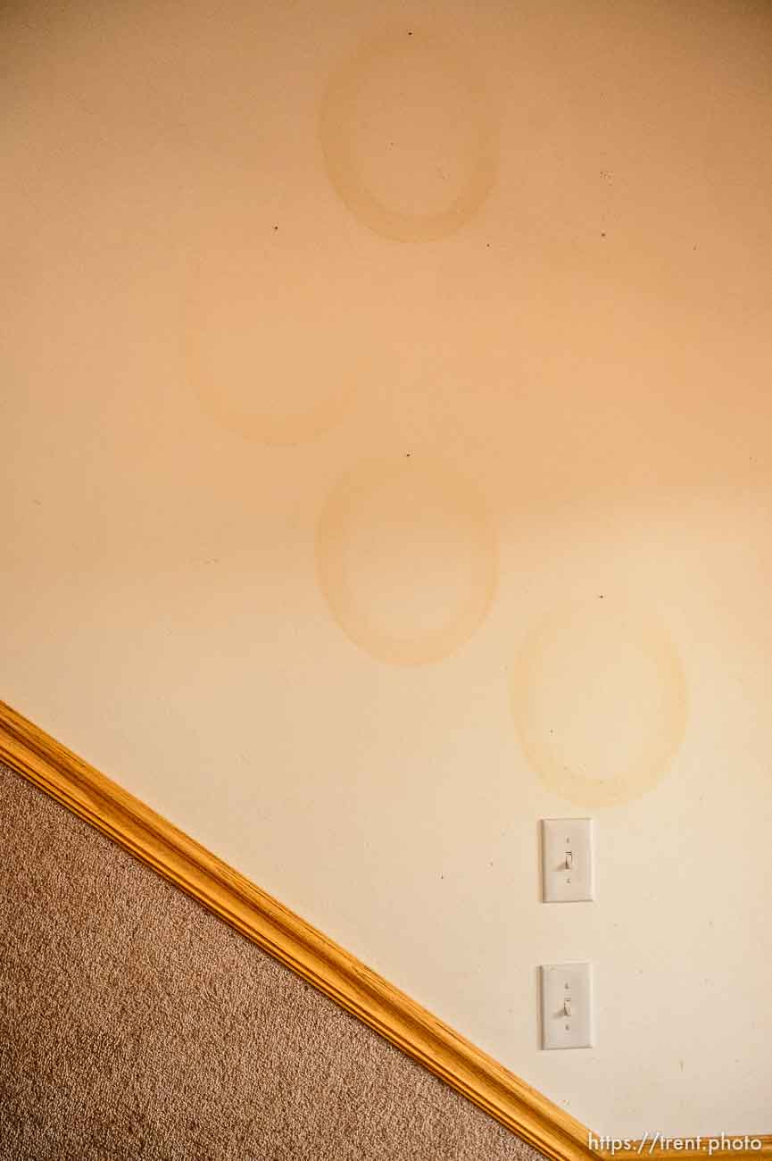 Trent Nelson  |  The Salt Lake Tribune
marks on wall from leadership portraits, uep home after flds family fled before eviction, Monday May 8, 2017.