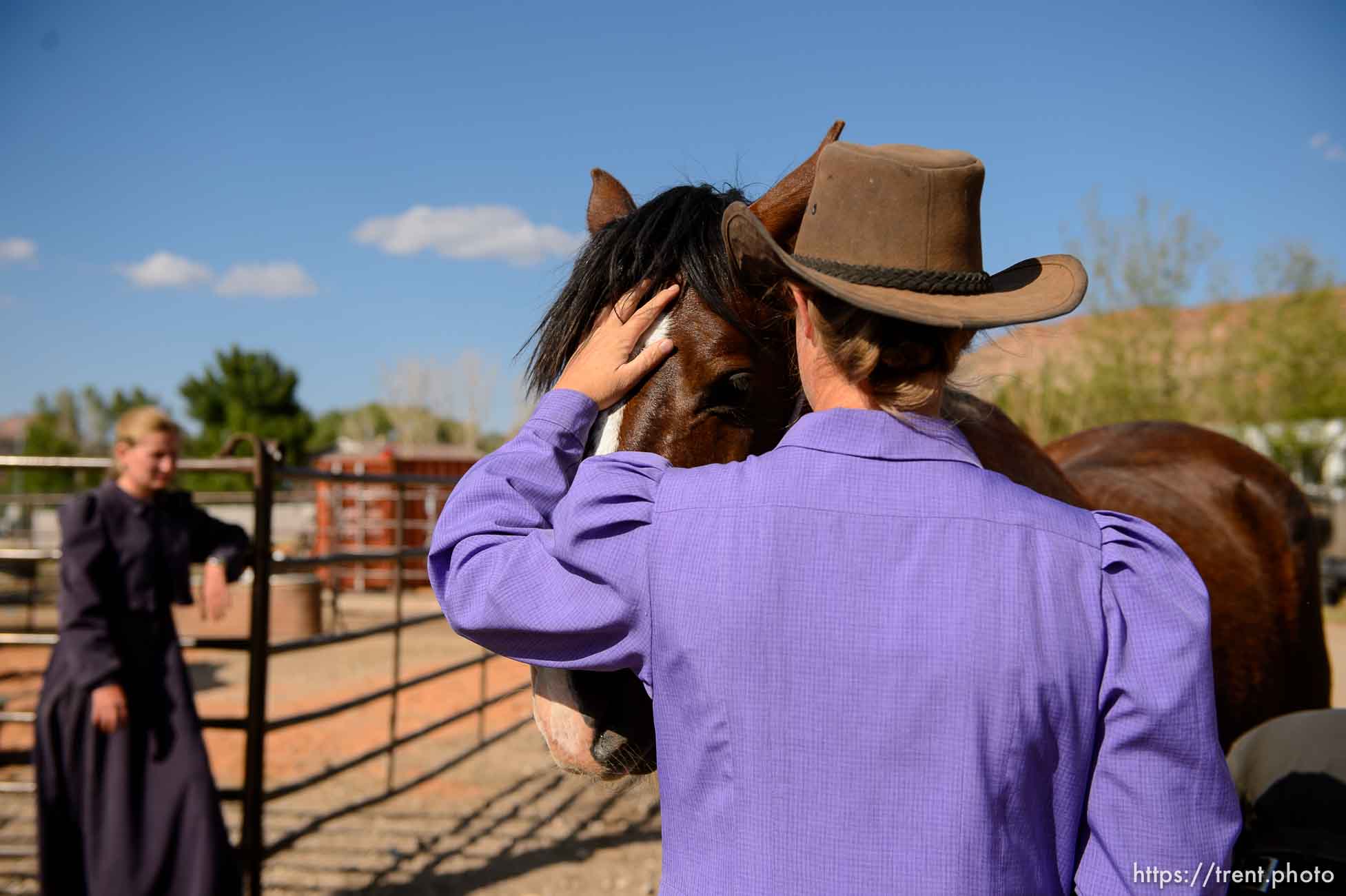 Trent Nelson  |  The Salt Lake Tribune
flds farrier ladies shoeing horse, Monday May 8, 2017.