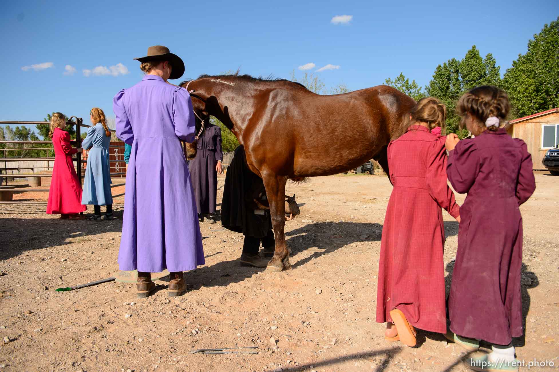 Trent Nelson  |  The Salt Lake Tribune
flds farrier ladies shoeing horse, Monday May 8, 2017.