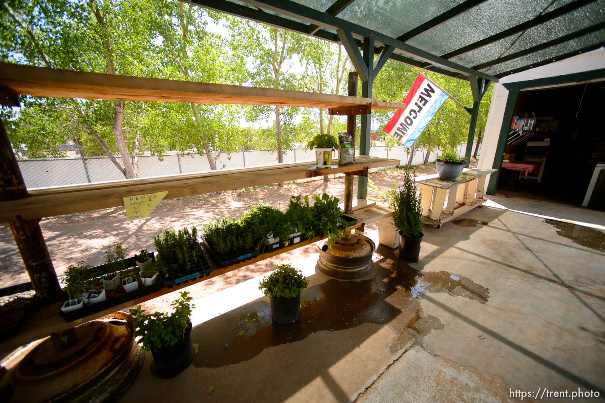 Trent Nelson  |  The Salt Lake Tribune
short creek trading company, an FLDS grocery, given eviction notice from UEP trust, Monday May 8, 2017.