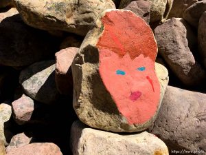 fairy forest, Monday August 8, 2016.