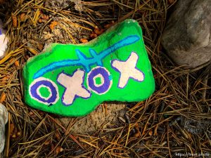 fairy forest, Monday August 8, 2016.