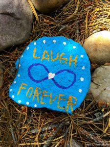 fairy forest, Monday August 8, 2016.