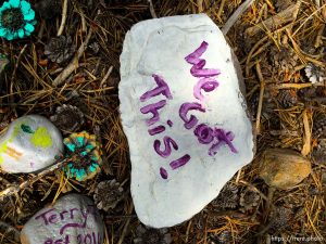 fairy forest, Monday August 8, 2016.