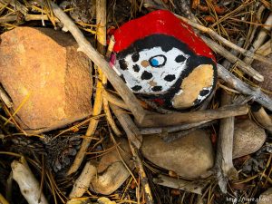 fairy forest, Monday August 8, 2016.